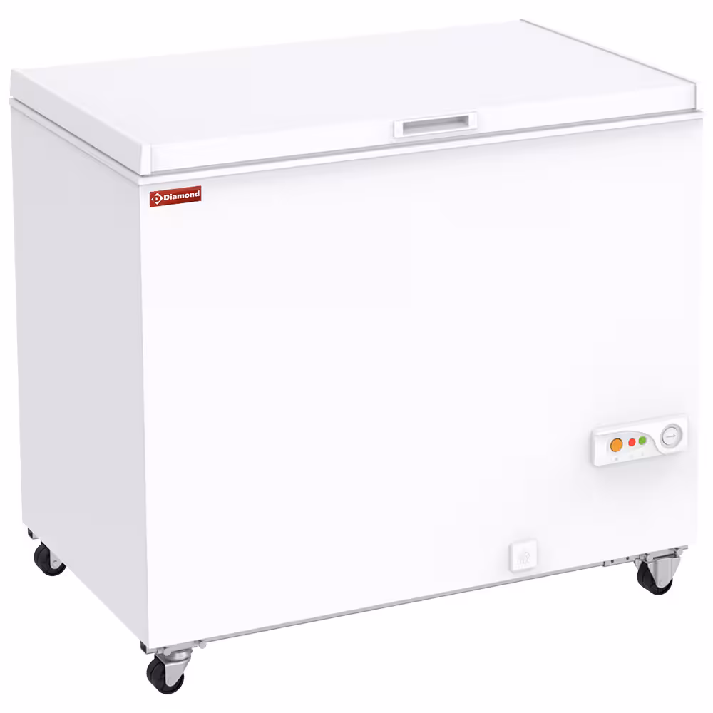 Congélateur bahut 288 litres - équipement professionnel de qualité