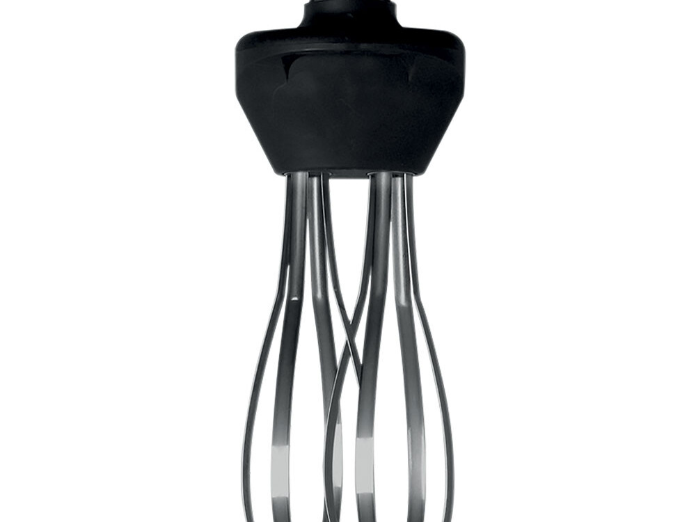 Accessoire: fouet 40 litres (-30 &,  -40) - professionnel professionnel de qualité