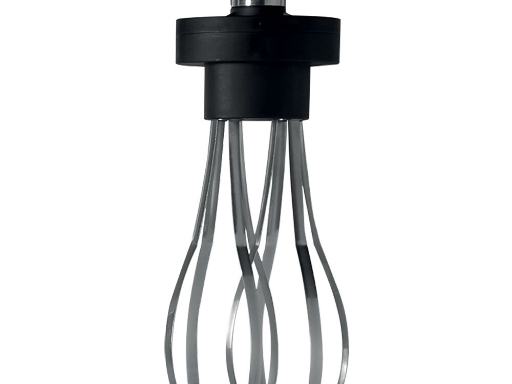 Accessoire: fouet 50 litres (-45 &, -65) - restauration professionnel de qualité