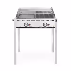 Barbecue Green Fire avec 2 brûleurs,  ,  Profi Line,  Pl... - équipement professionnel de qualité