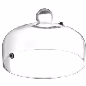 Cloche en verre avec aération ,  ,  Cloche plat,  ⌀260... - professionnel professionnel de qualité