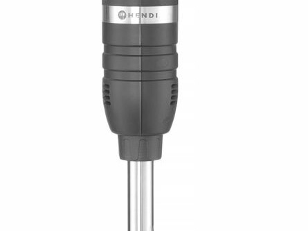 Mixeur plongeur 500 à vitesse variable et pied mélangeu... - professionnel professionnel de qualité