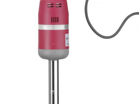 Mixeur plongeur 250 - à vitesse réglable, , Profi Lin... - professionnel professionnel de qualité