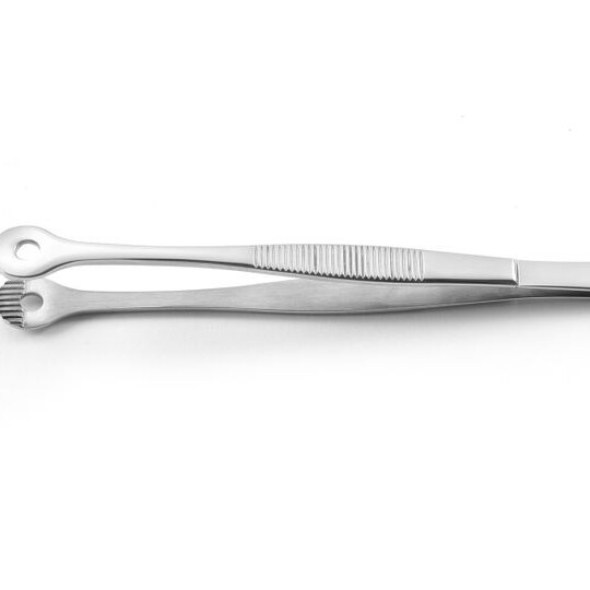 Pince avec tête ronde ,  ,  (L)150mm - cuisine professionnel de qualité