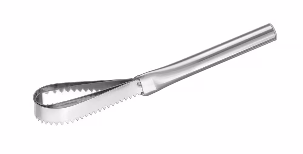 Écailleur à poisson, , 240x46mm - équipement professionnel, vue détaillée