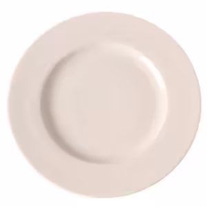 Assiette plate - cuisine professionnel de qualité