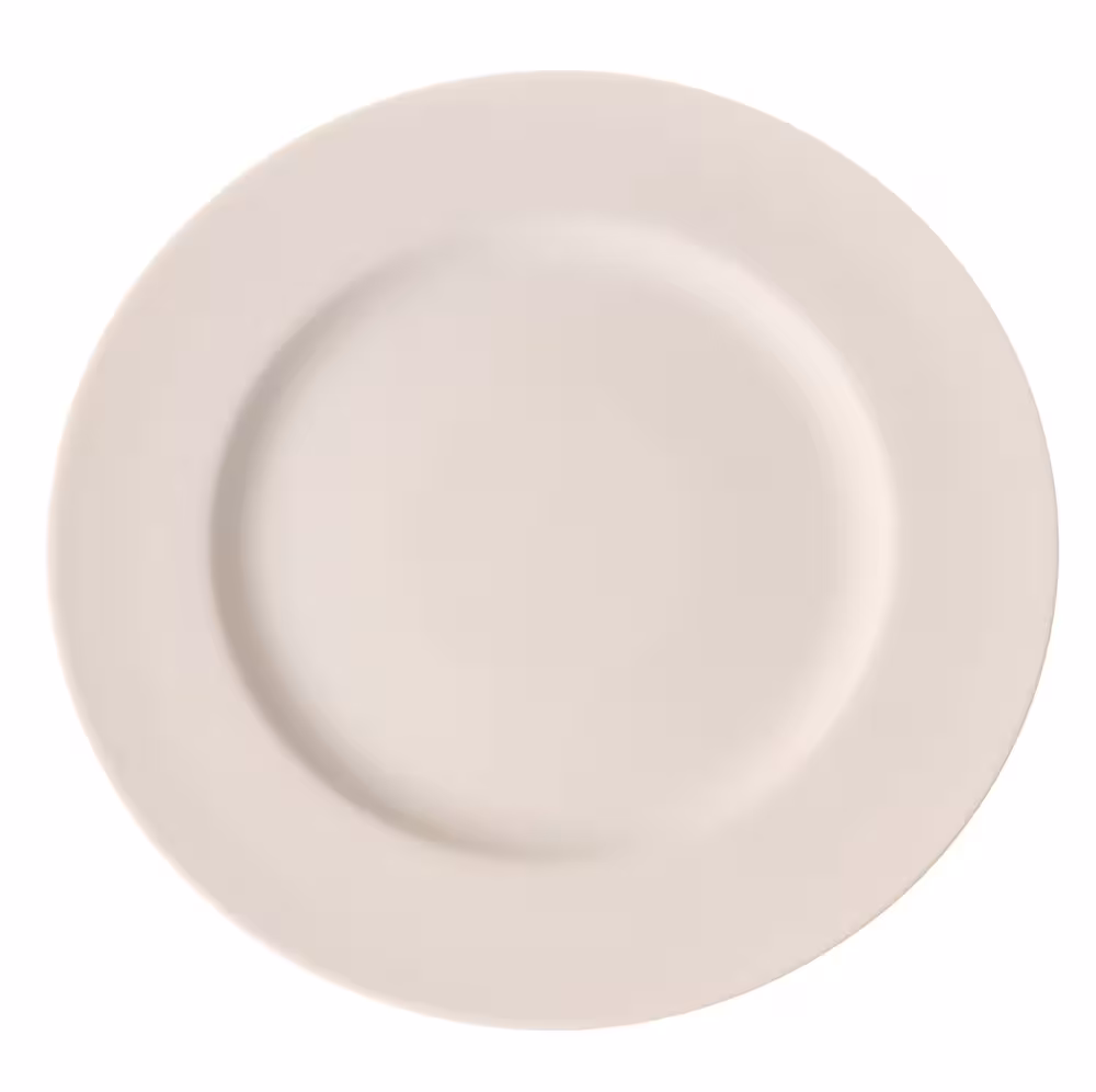 Assiette plate - équipement professionnel de qualité