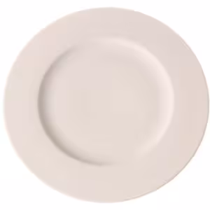 Assiette plate - restauration professionnel de qualité