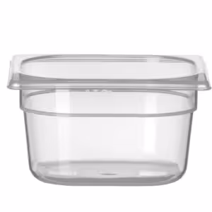 Bac Gastronorme 1/6,  ,  Profi Line,  1/6,  1,  Transparent - professionnel professionnel de qualité