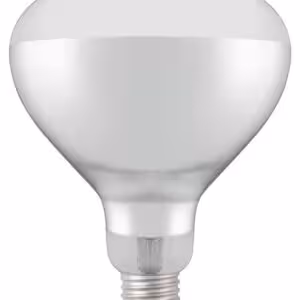 Ampoule infrarouge chauffante,  ,  Blanc,  ,  ⌀125x(H)1... - cuisine professionnel de qualité