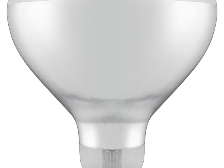 Ampoule infrarouge chauffante,  ,  Blanc,  ,  ⌀125x(H)1... - cuisine professionnel de qualité