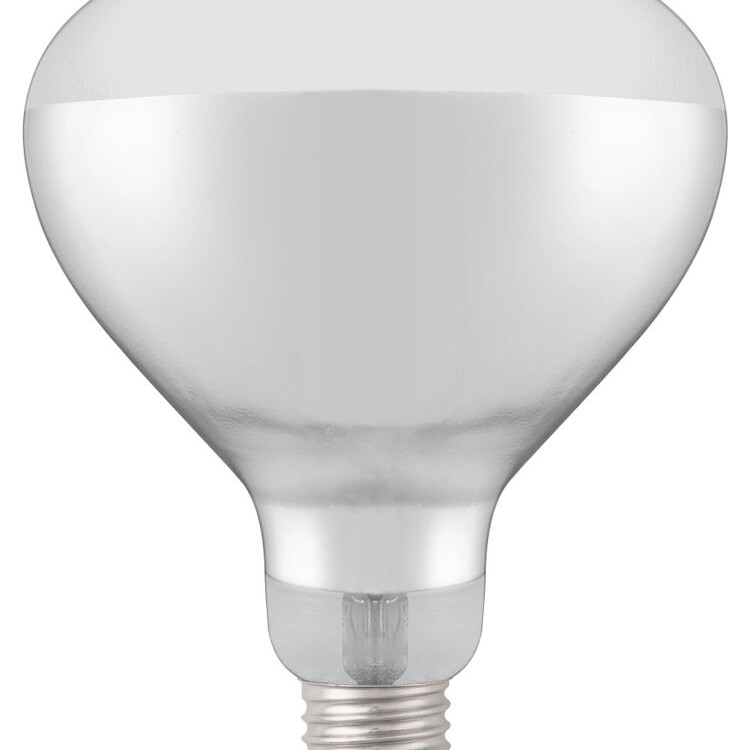 Ampoule infrarouge chauffante,  ,  Blanc,  ,  ⌀125x(H)1... - cuisine professionnel de qualité