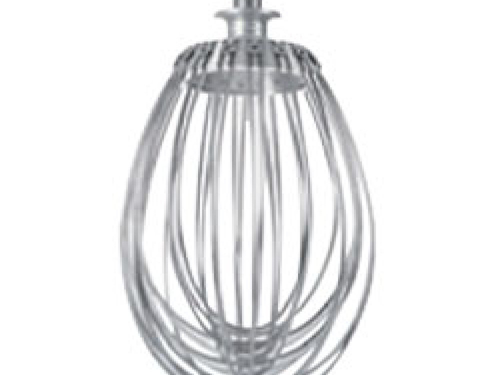 Fouet,  40 litres (complémentaire) - équipement professionnel de qualité