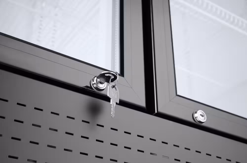 Armoire réfrigérée avec caisson lumineux, double port... - professionnel professionnel, vue détaillée